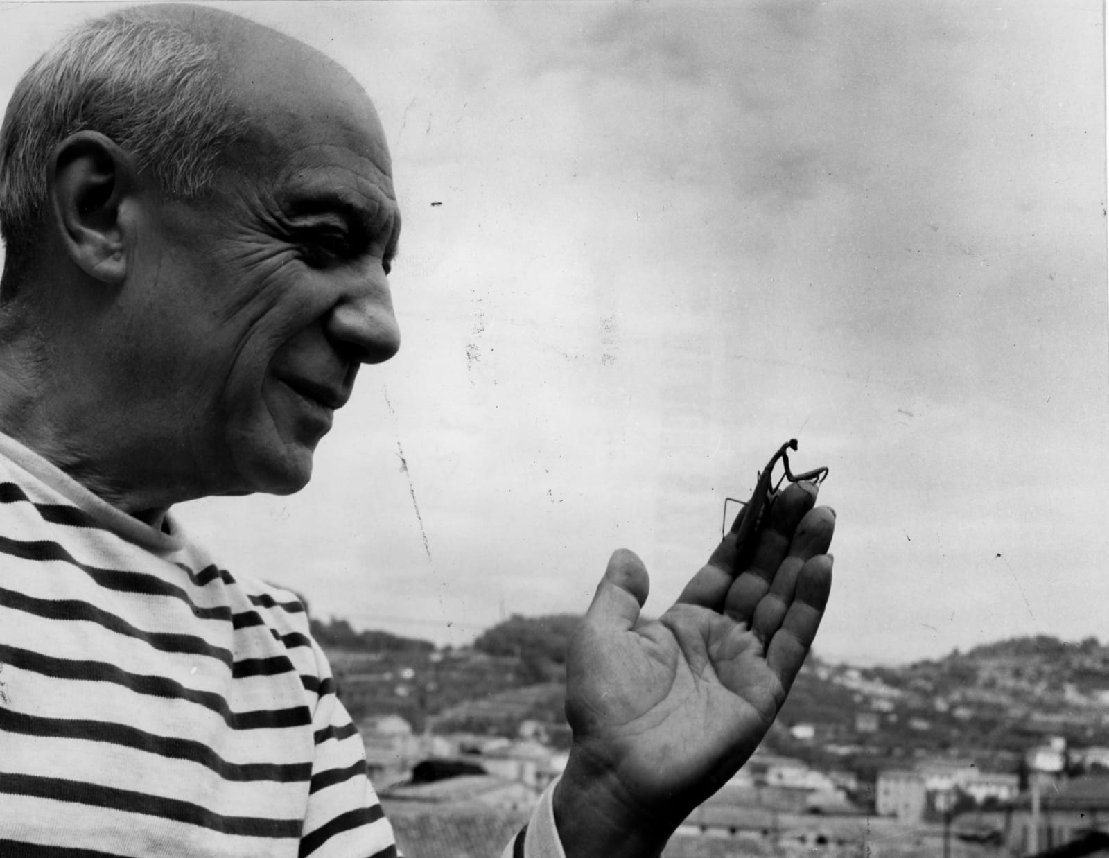 Robert Doisneau, Picasso with a praying mantis