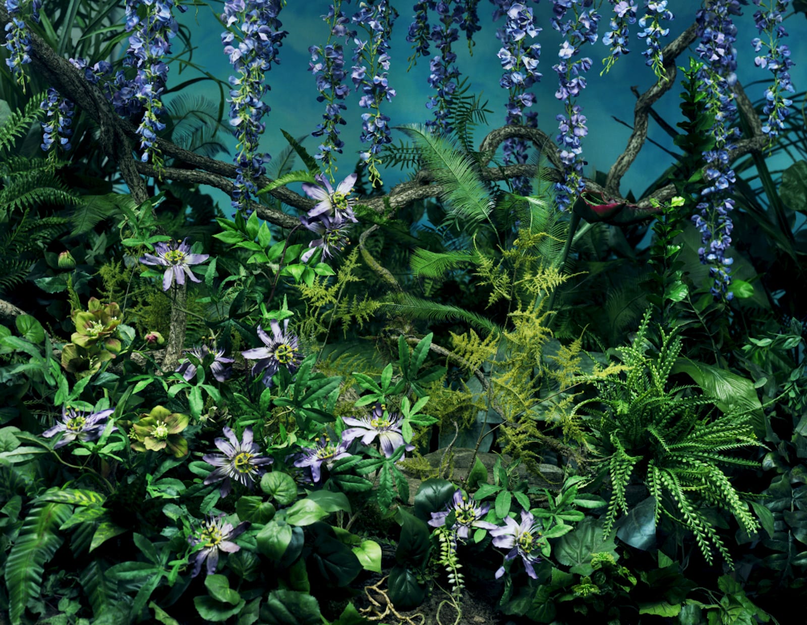 Jeff Bark, Night Bloom, 2019