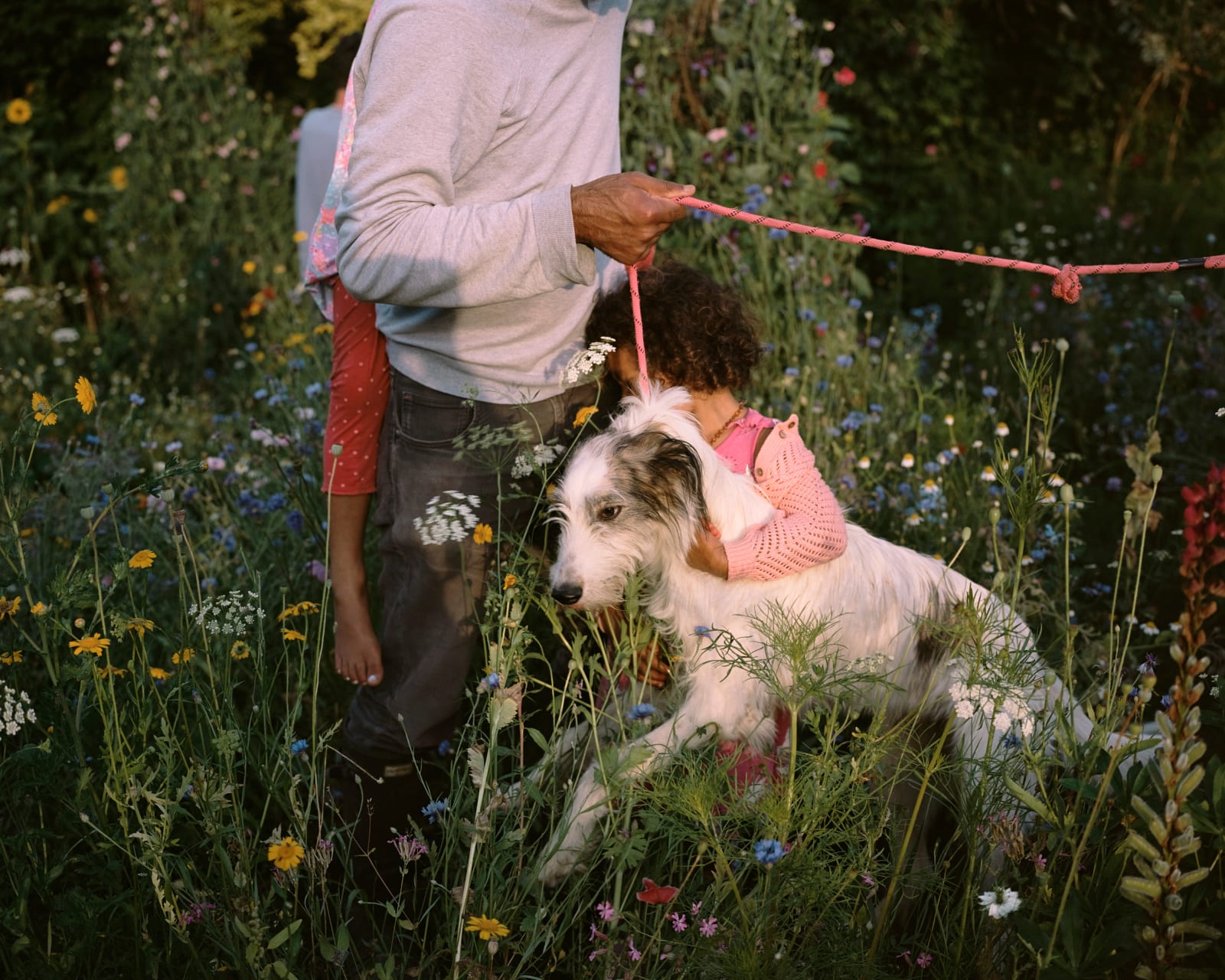 Siân Davey, Garden II