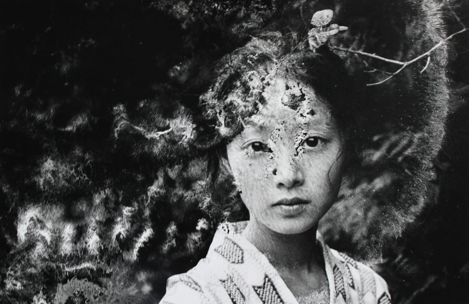 Nobuyoshi Araki, Dead Reality, 1997