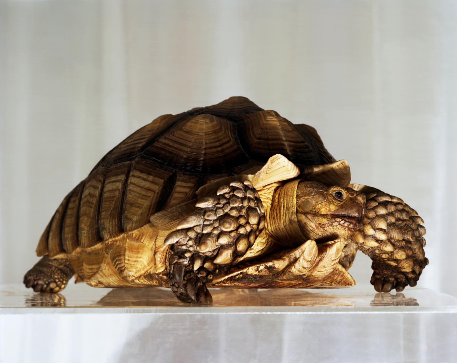 Jeff Bark, Gryphon, from Paradise Garage, 2019