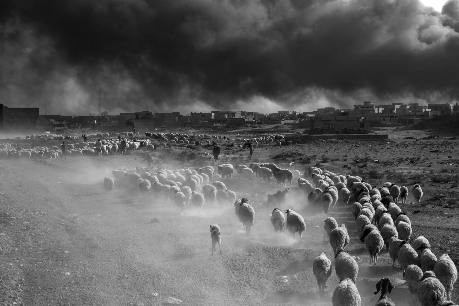 Paolo Pellegrin, Civilians fleeing ISIS-controlled areas. Mosul, Iraq, 2016
