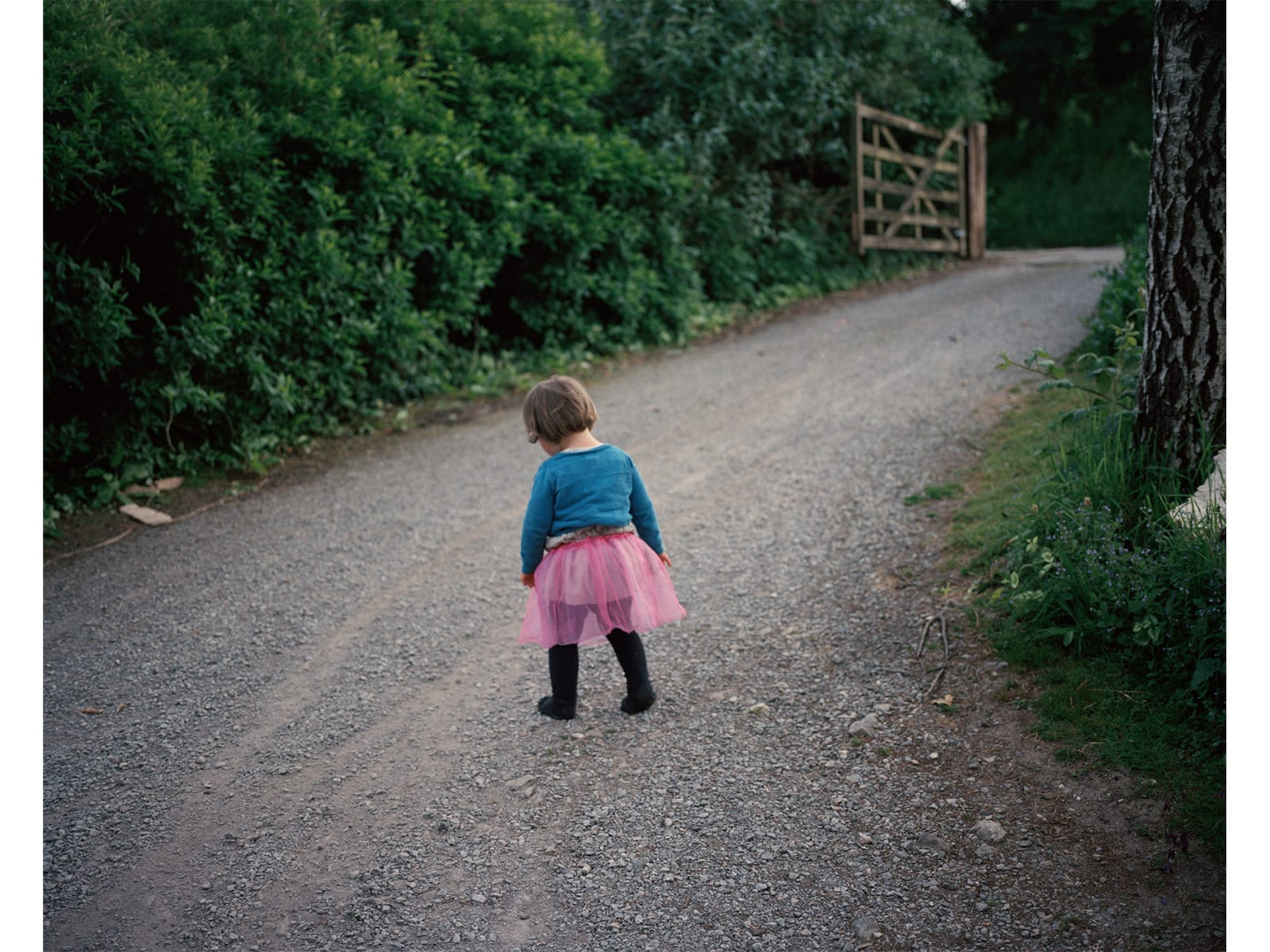 Siân Davey, Not Invited, 2014
