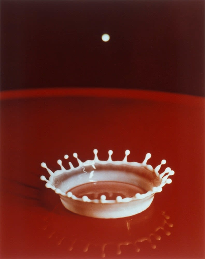 Dr. Harold Edgerton, Milkdrop Coronet, 1957