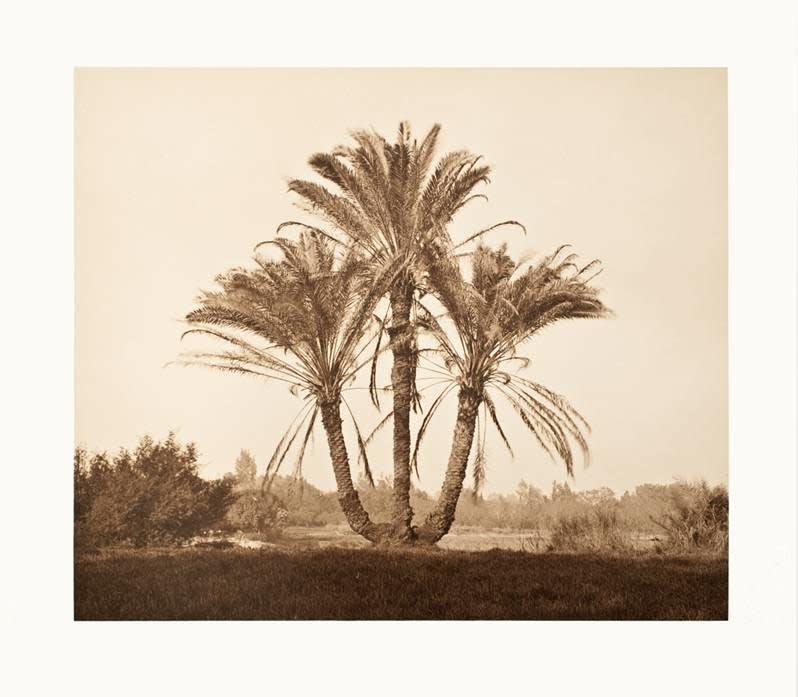 David Parker, Luxor, Egypt 1992