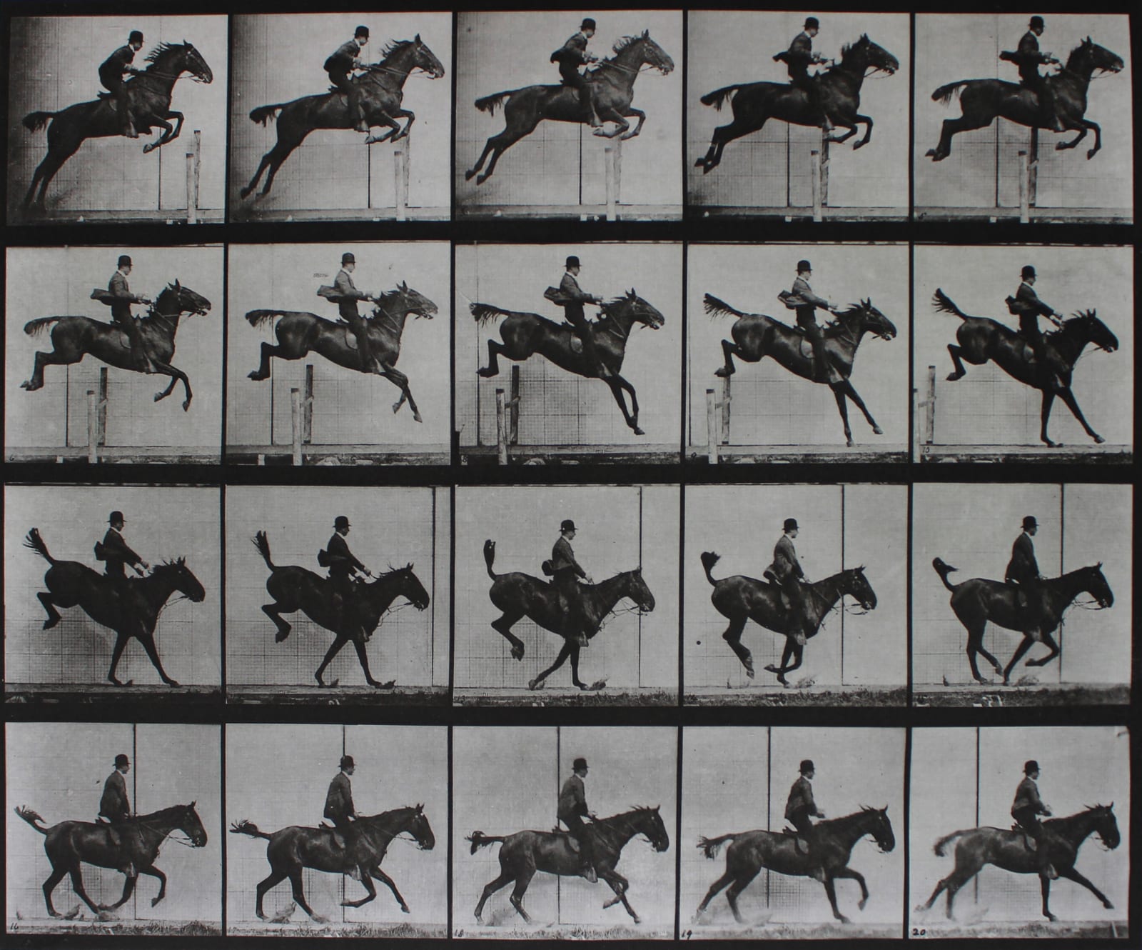Eadweard Muybridge, Animal Locomotion, Plate 637: Jumping a hurdle, clearing, landing, and recovering, bay horse Daisy, 1887