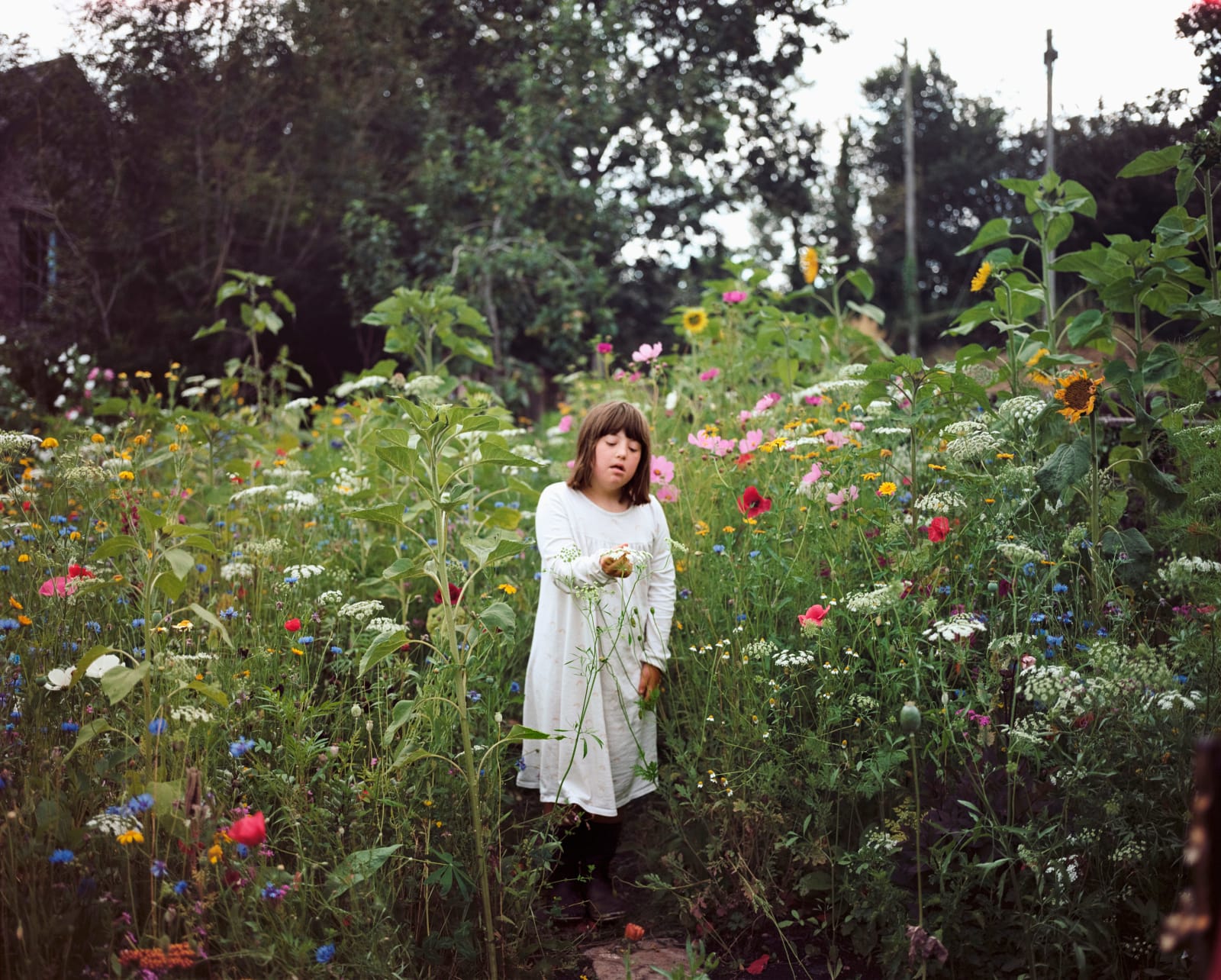 Siân Davey, The Garden XXXIX, 2023