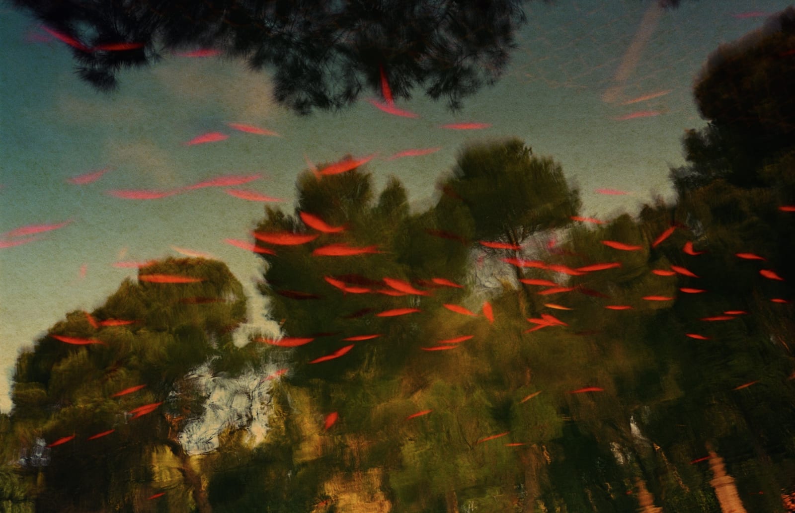 Albarrán Cabrera, The Mouth of Krishna, #54, 2009