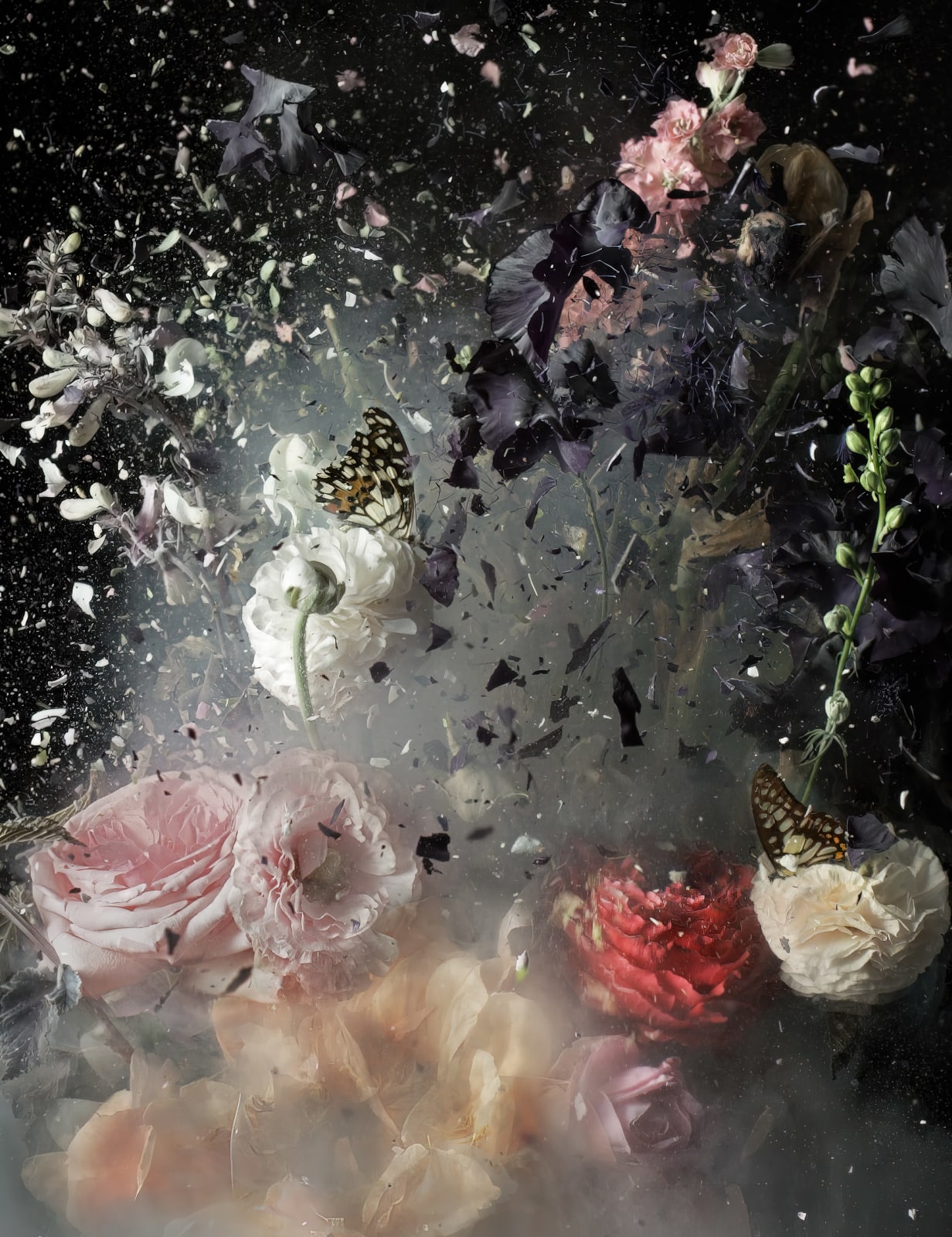 Ori Gersht, Fields and Vision 8, 2022 | Michael Hoppen Gallery