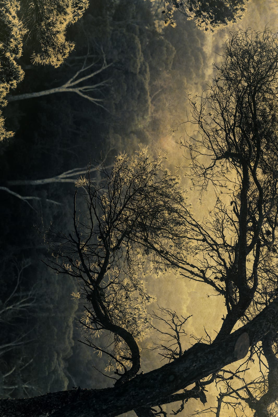 Albarrán Cabrera, The Mouth of Krishna #60460, 2018