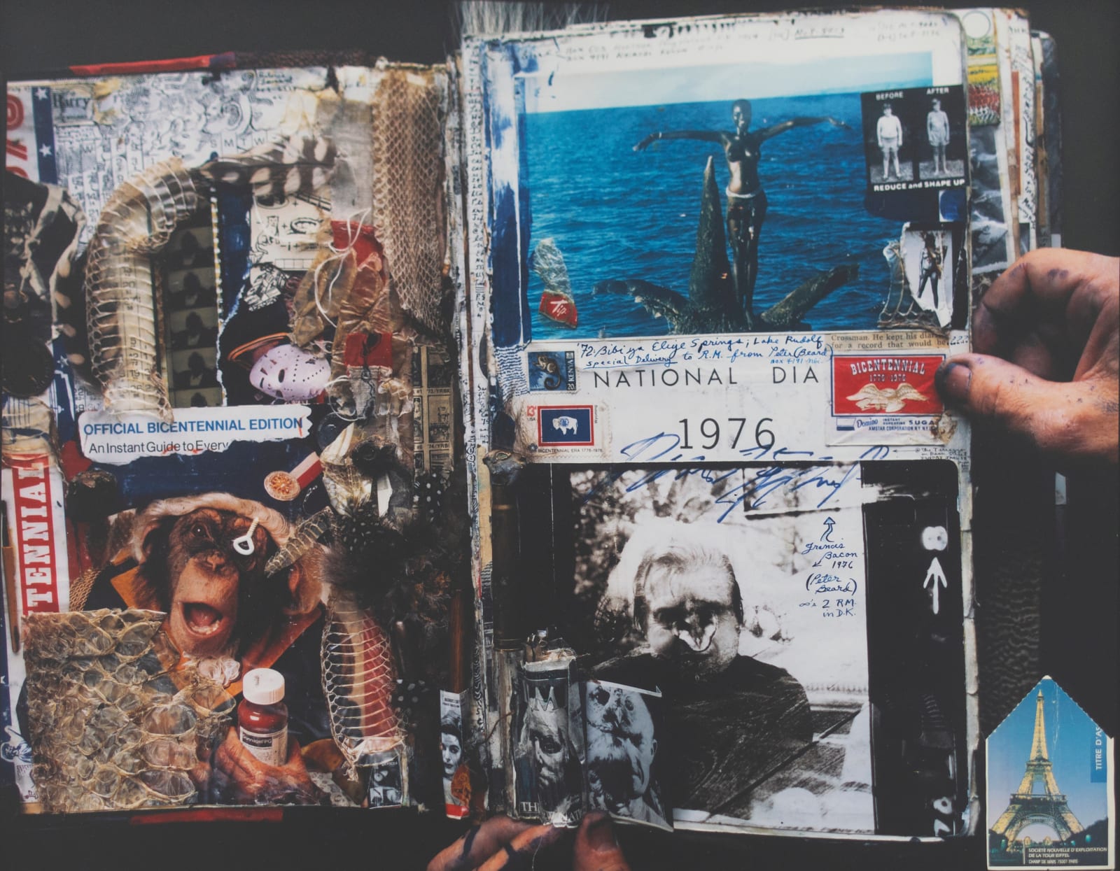 Peter Beard, Diary Page, 1991 | Michael Hoppen Gallery