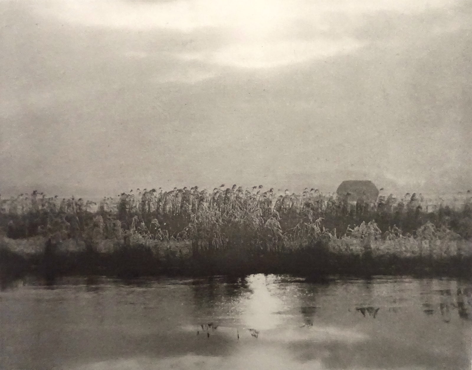P. H. Emerson, Rime Crystals, 1895