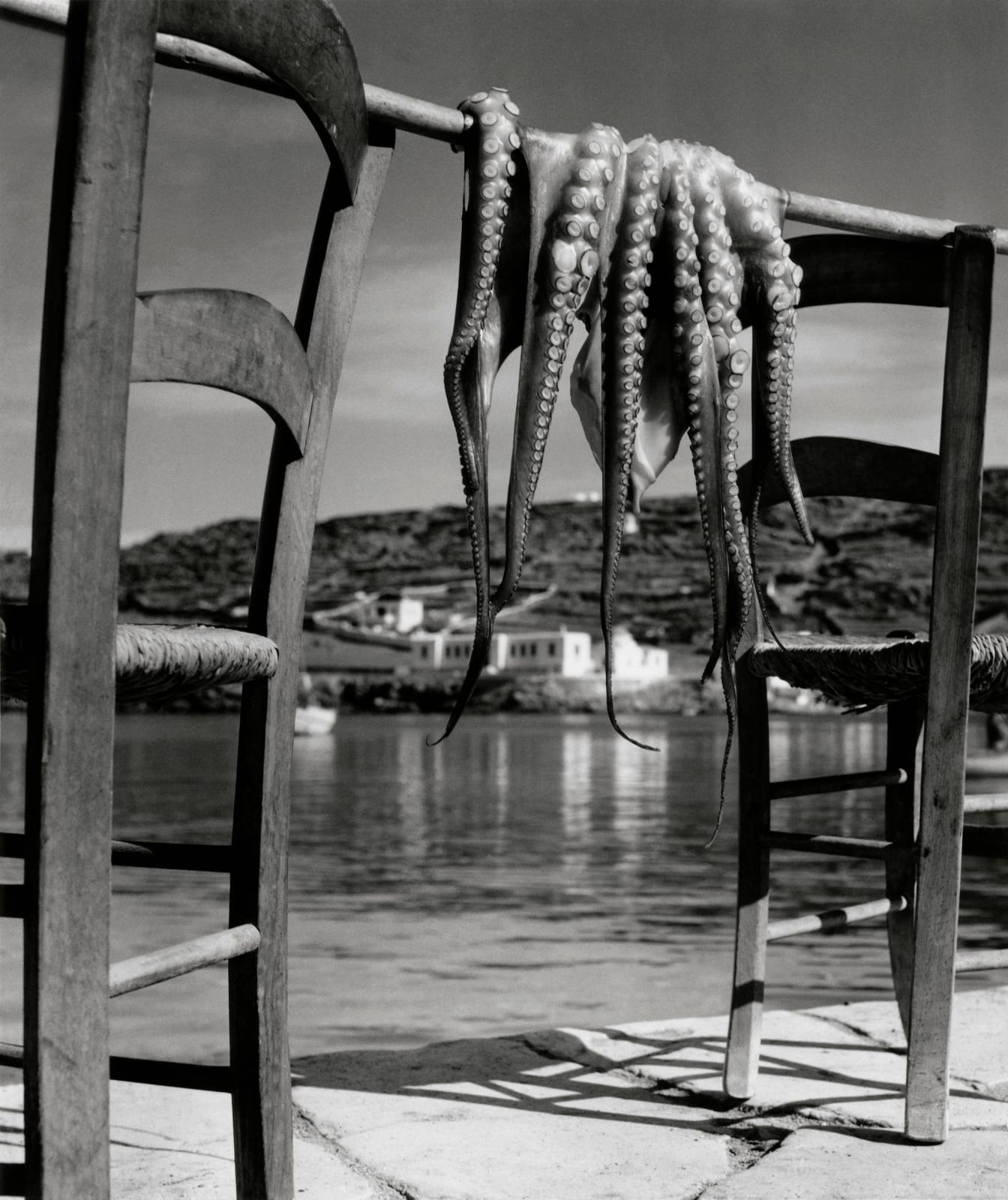 Herbert List, Octopus, Corfu, Greece, 1938 | Michael Hoppen Gallery