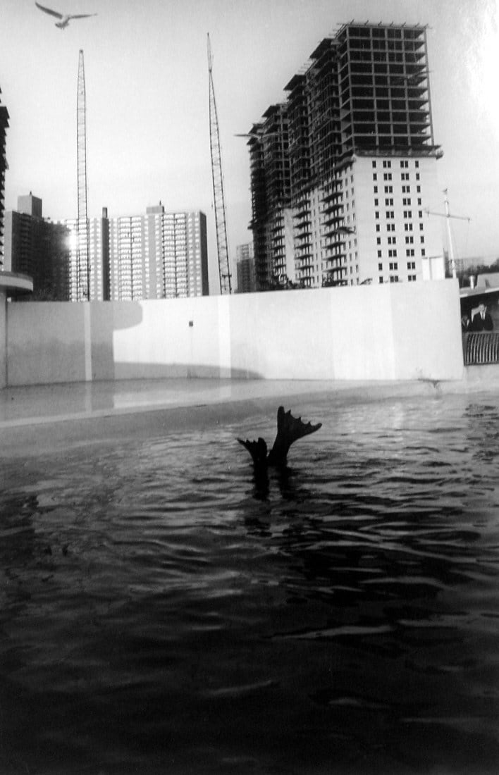 Garry Winogrand, Aquarium at Coney Island, 1962