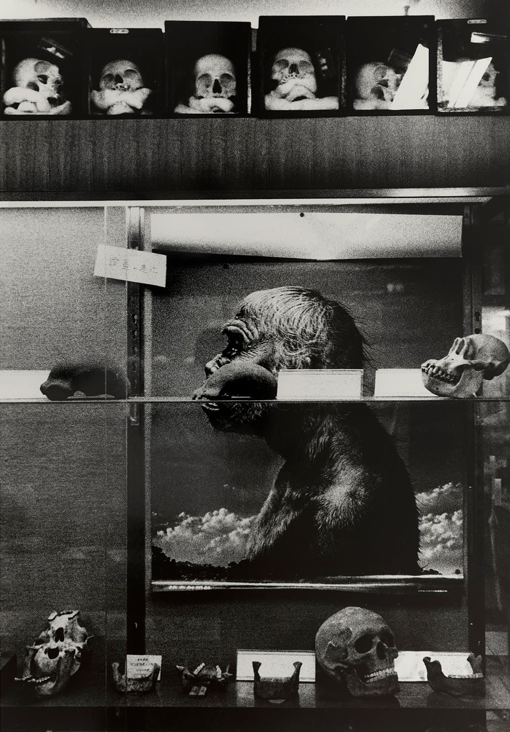 Ishiuchi Miyako, Suidobashi, 1981