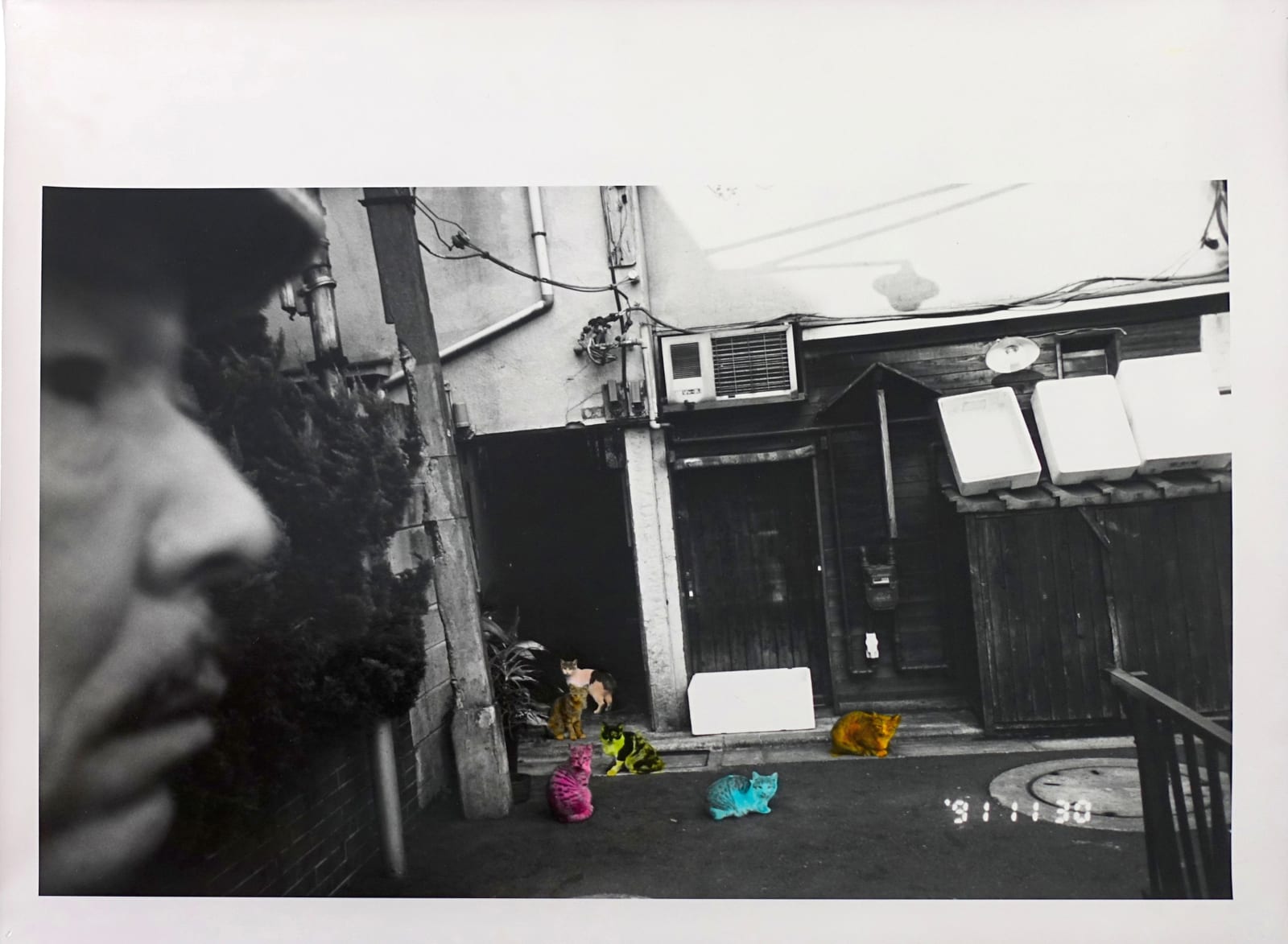 Masahisa Fukase, Private Scenes - Untitled, 1991