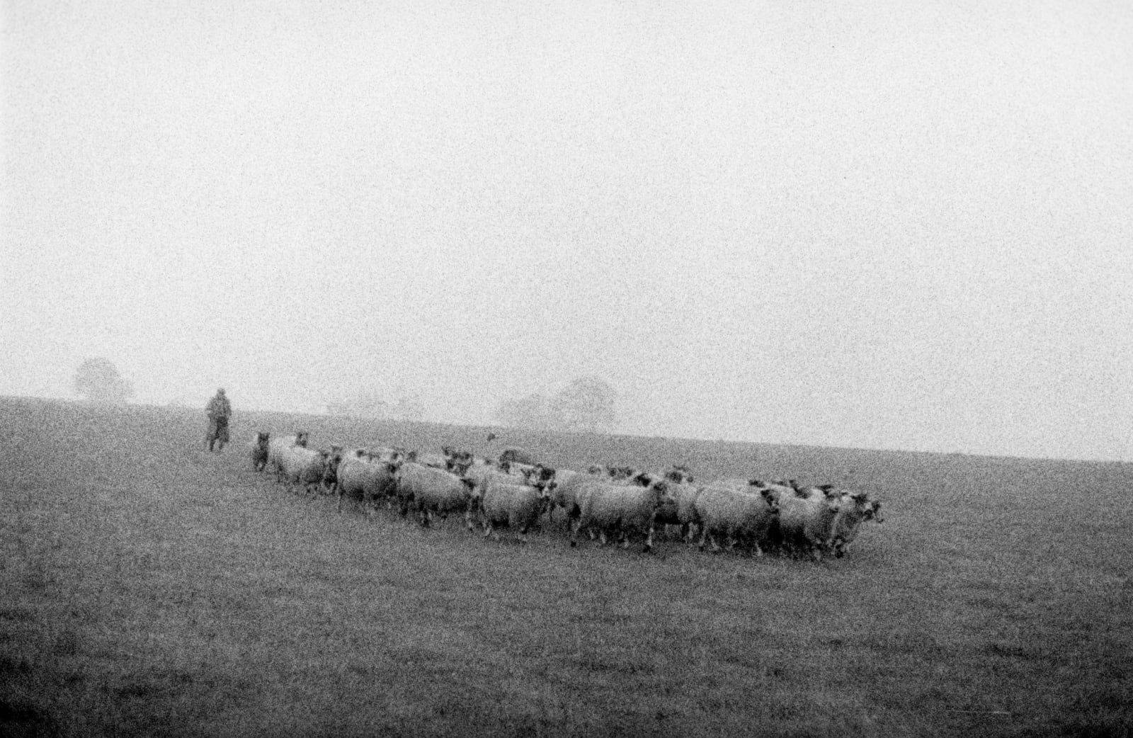 Bruce Davidson, Crofter, Scotland, 1960 | Michael Hoppen Gallery