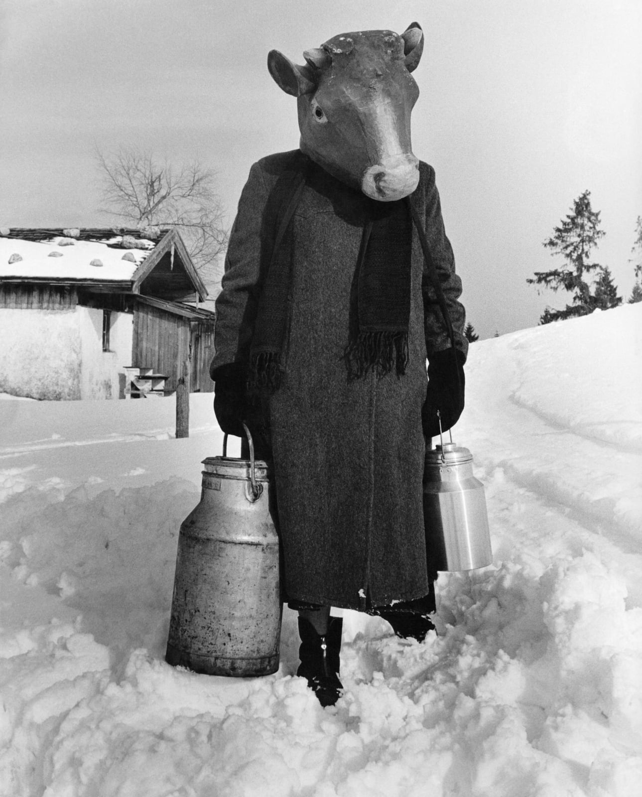 Herbert List, Carnival on ski: Cow in snow, Ruhpolding, Germany, 1957