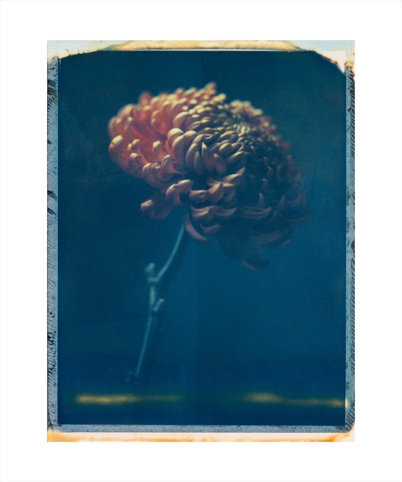 Nikolai von Bismarck,