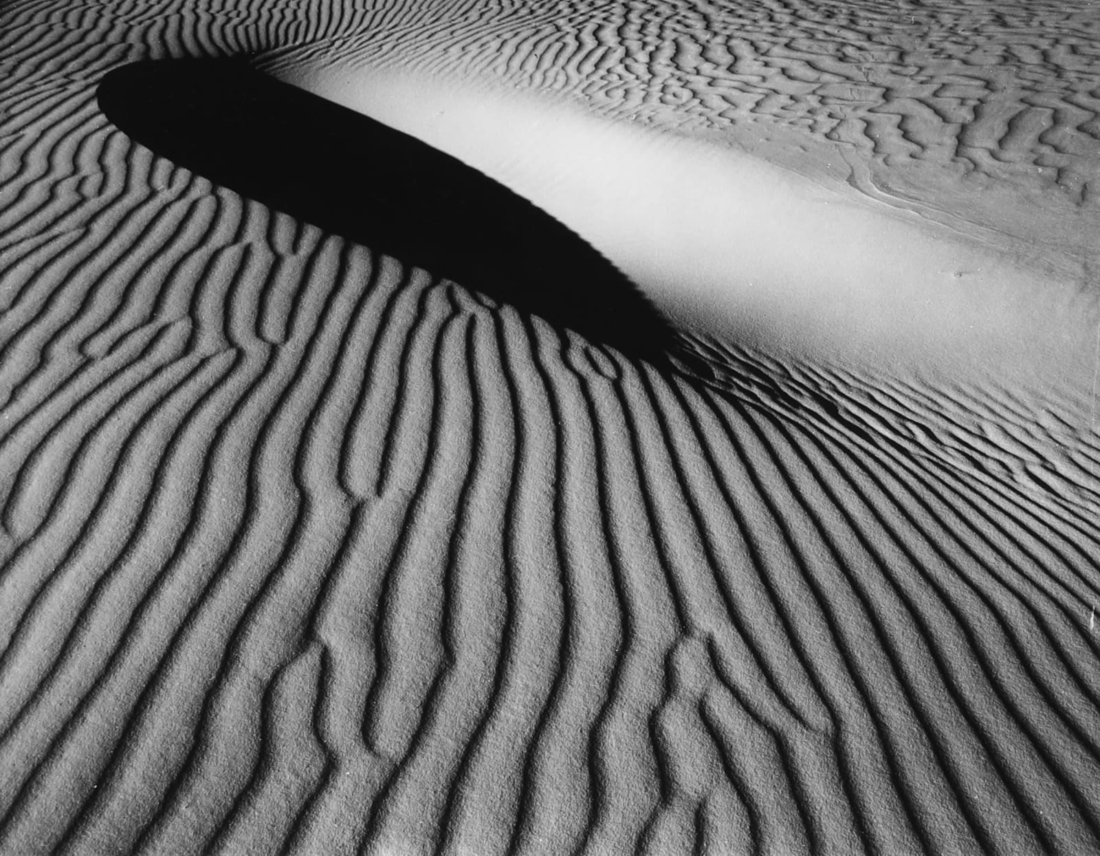 William B. Giles, Sand Dune, 1973
