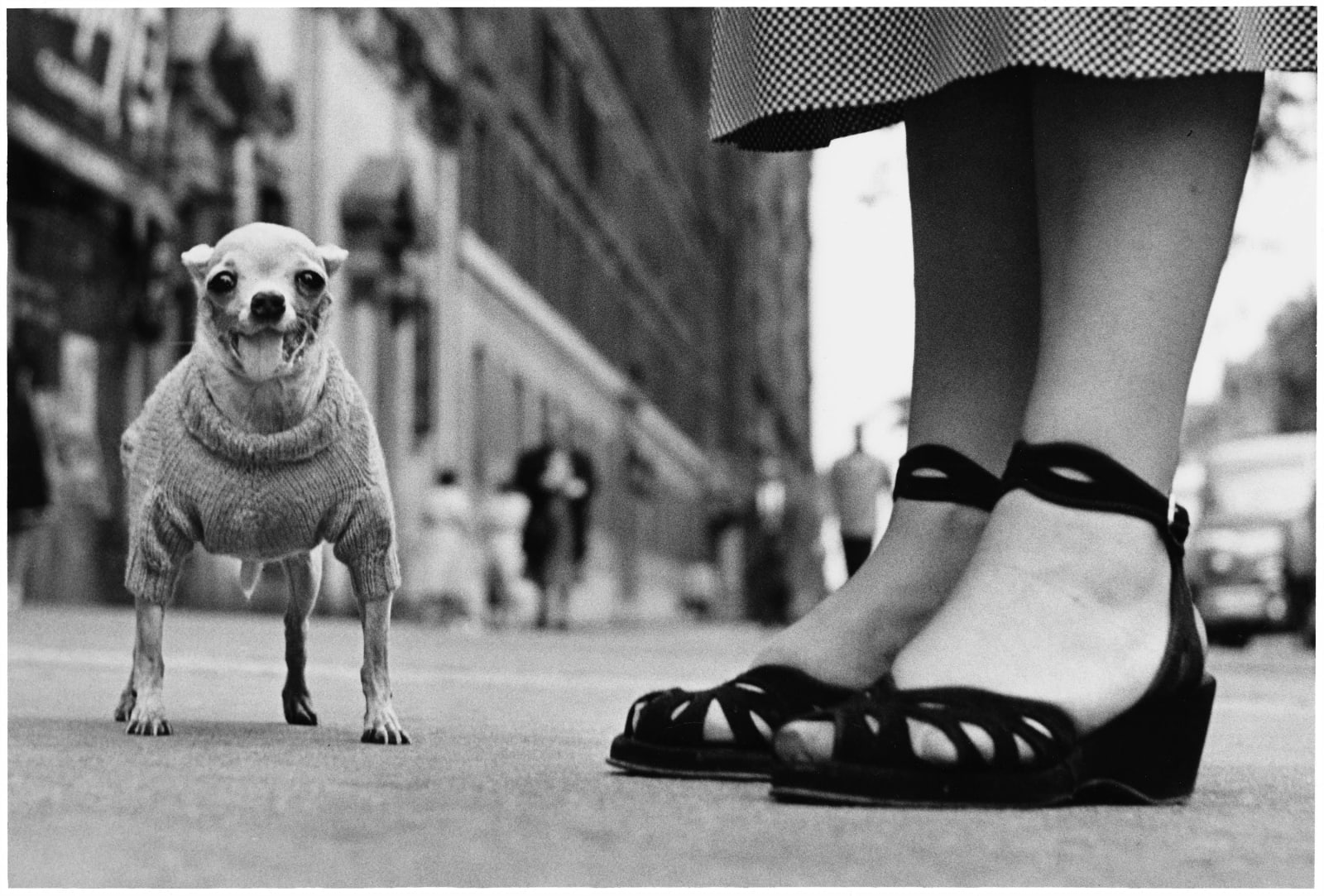 Elliott Erwitt, New York City, NY, c. 1950