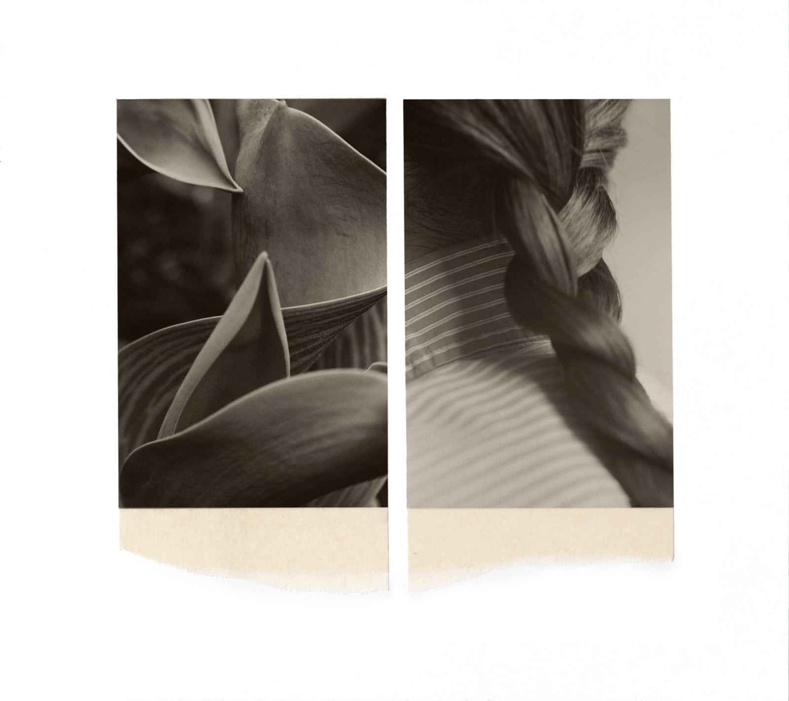 Wesley Stringer, Oh Time, thy Pyramids #004, 2025