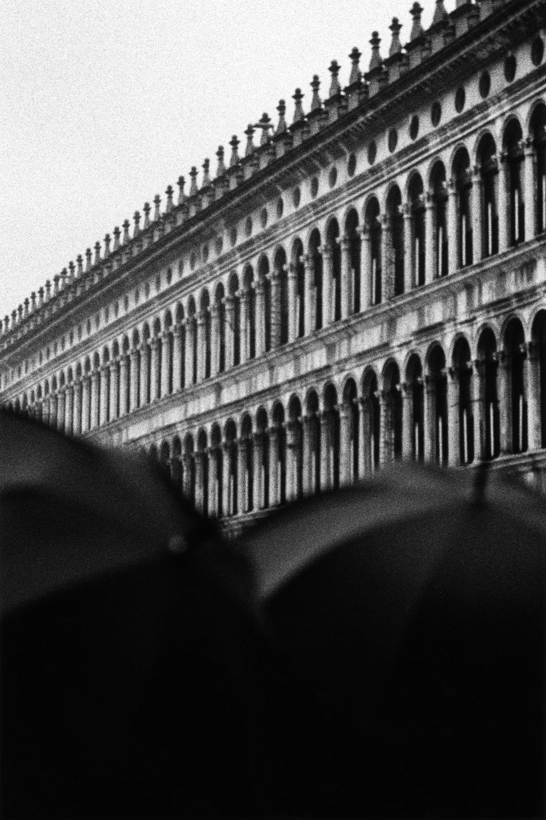 Kit Young, Venice, Italy, 2017