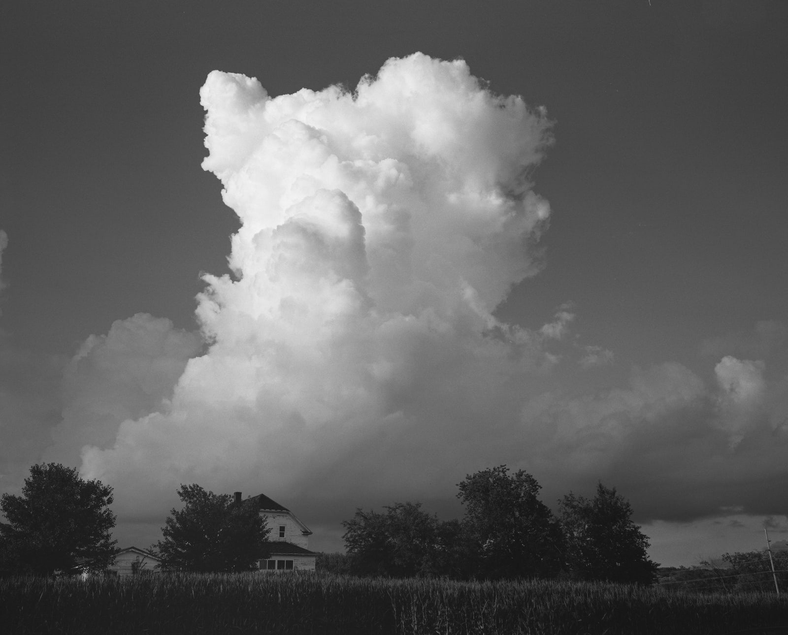 Erinn Springer, Our Walk, 2022