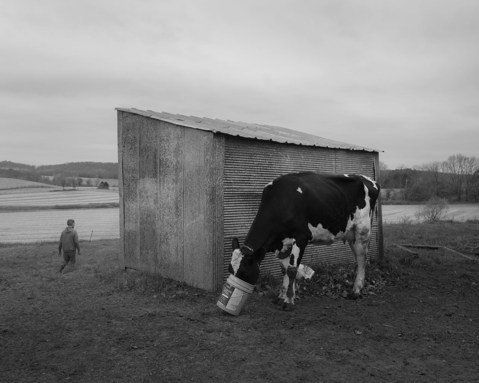 Erinn Springer, The Pasture, from the series Dormant Season, 2022