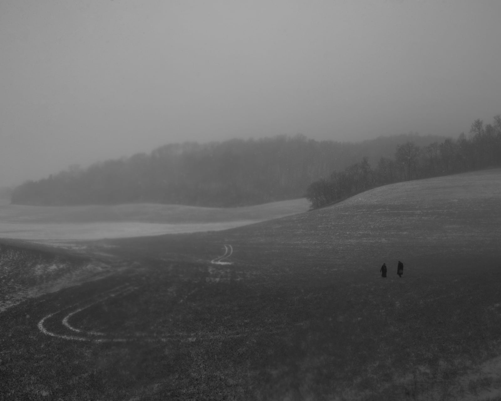 Erinn Springer, The Field, from the series Dormant Season, 2022