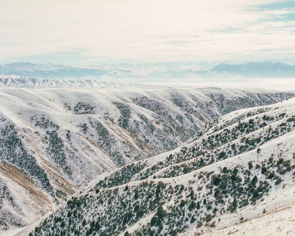 Luke Oppenheimer, The Land of Gods and Eagles, 2020