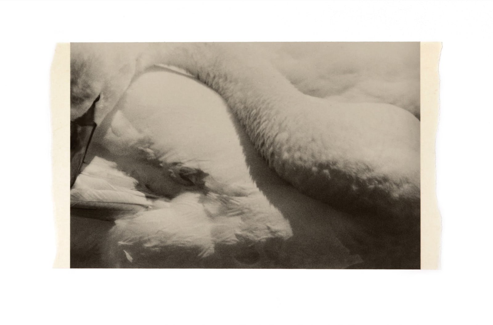 Wesley Stringer, Oh Time, thy Pyramids #012, 2022