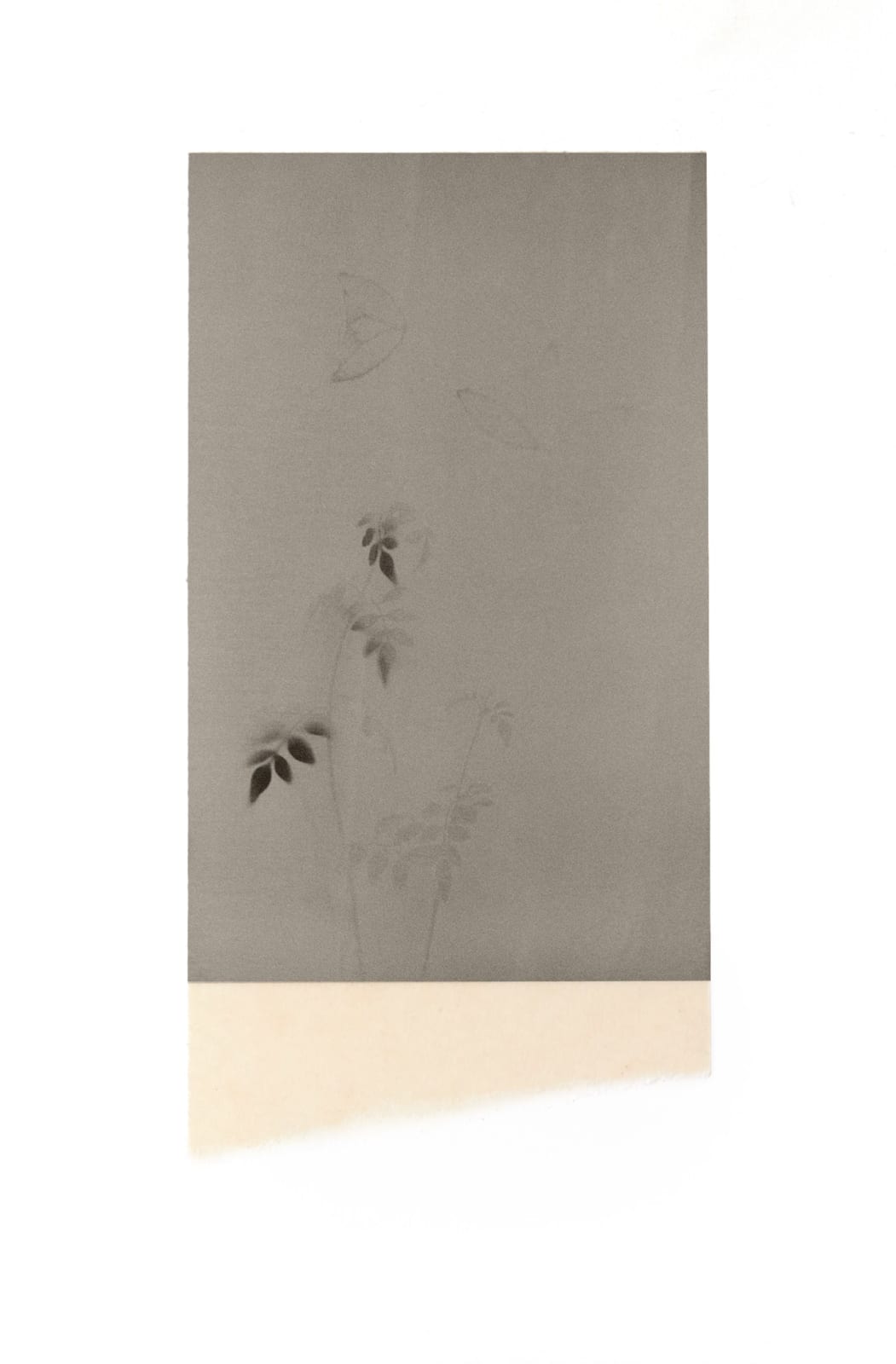 Wesley Stringer, Oh Time, thy Pyramids #002b, 2024