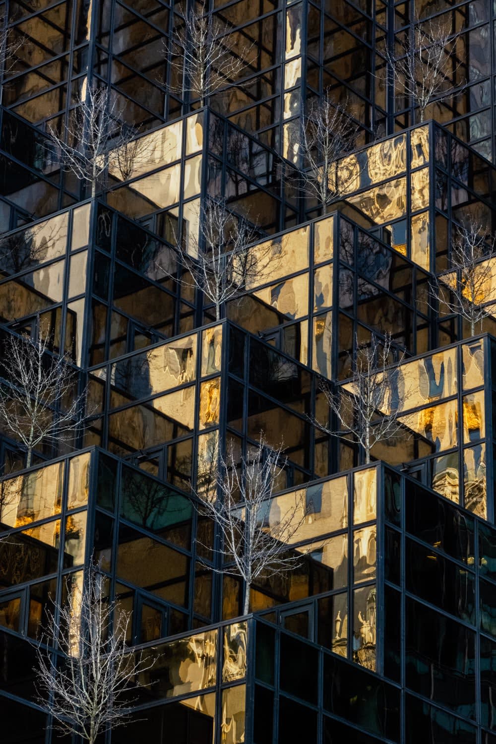 Mikko Takkunen, The Golden Tower, New York, 2023