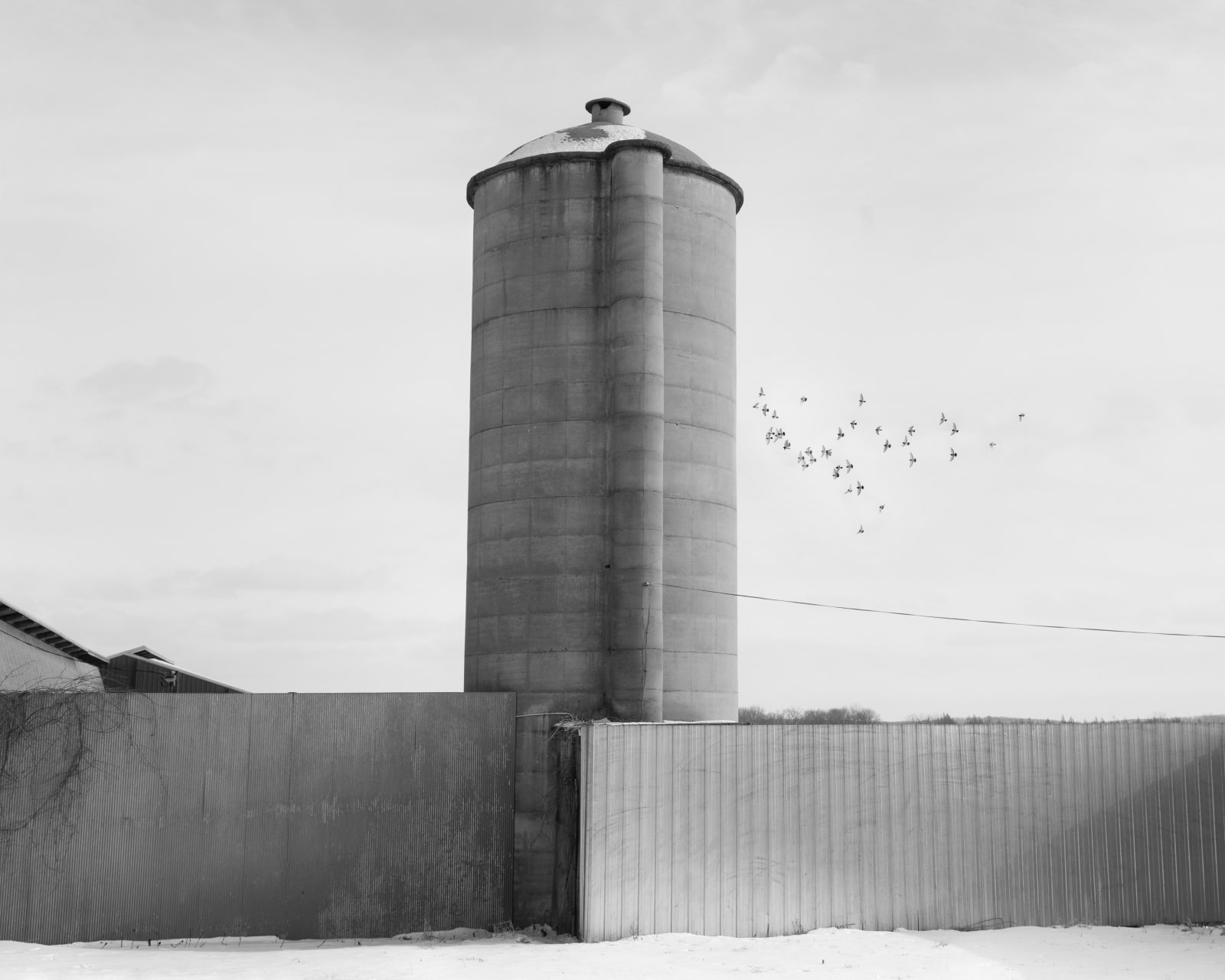 Erinn Springer, The Silo, from the series Dormant Season, 2021