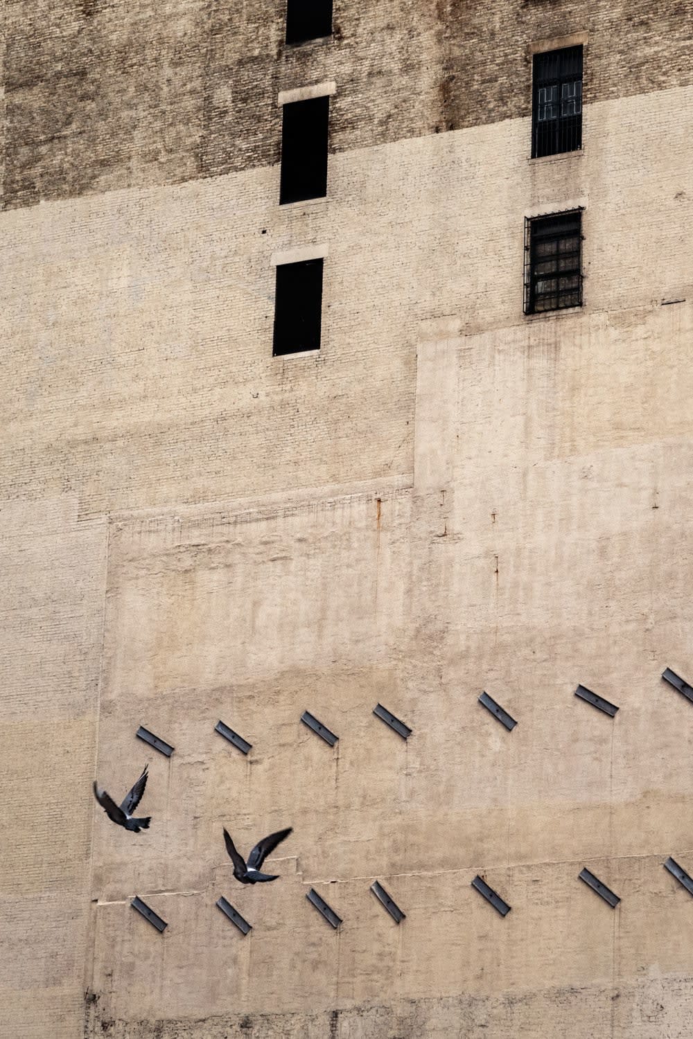 Mikko Takkunen, Two Birds, New York, 2023