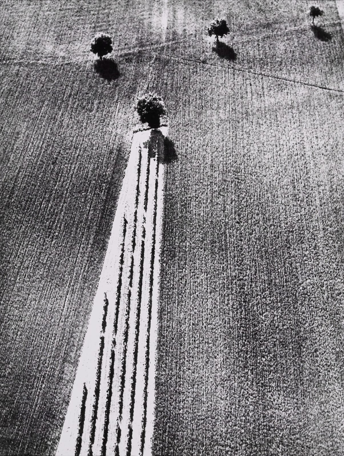 Mario Giacomelli, Presa di Cosienza Sulla Natura – (Epiphany and Nature), 1979