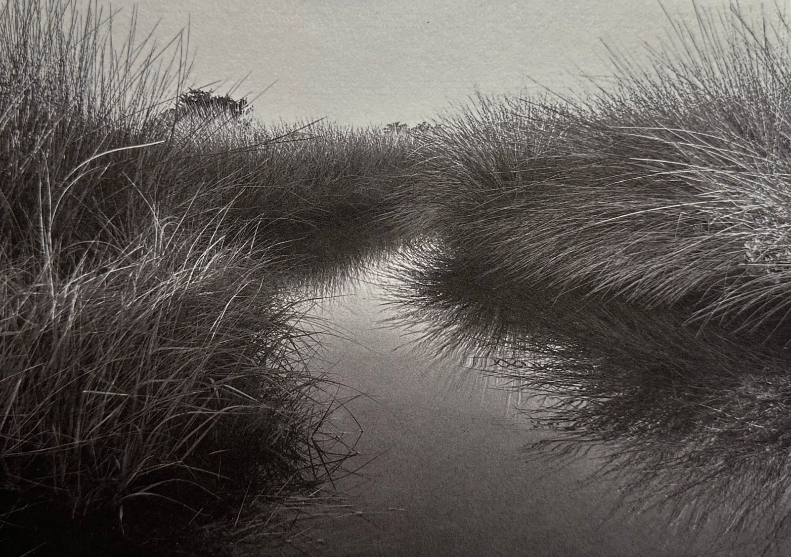 Chico Seay, Backslew #1, Pamlico Sound, NC, 2021