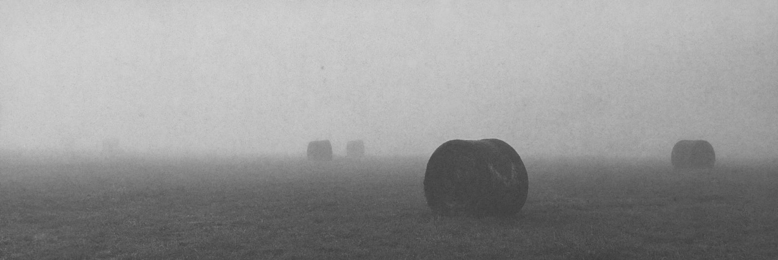 Chico Seay, Round Bales #1, 2022
