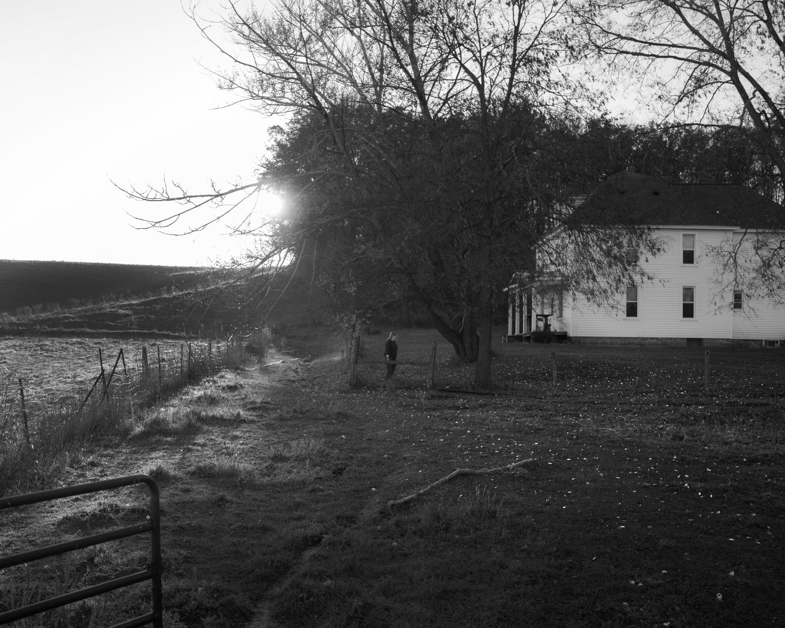 Erinn Springer, Fencerow, from the series Dormant Season, 2022