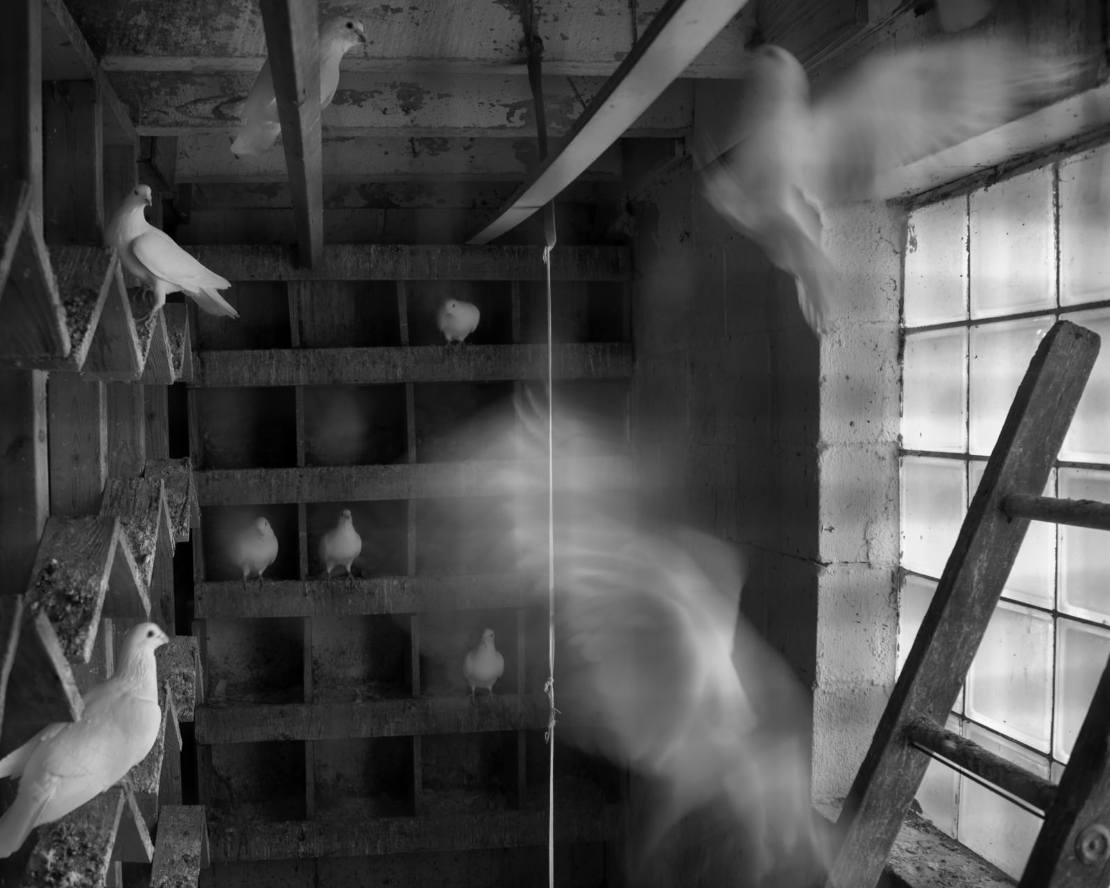 Erinn Springer, Returning Home, from the series Dormant Season, 2020