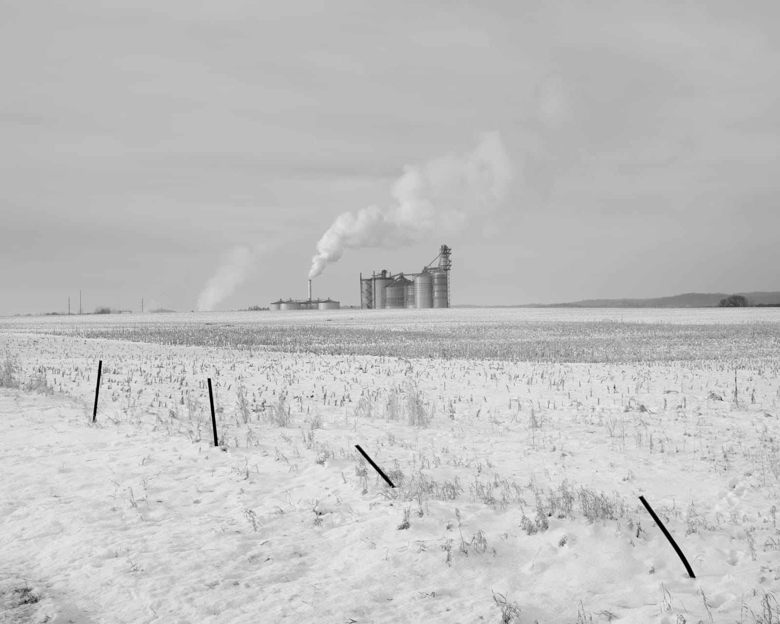 Erinn Springer, The Factory, from the series Dormant Season, 2021