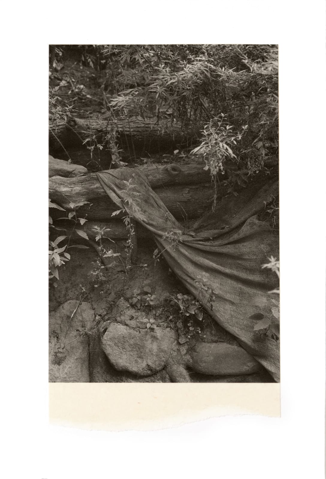 Wesley Stringer, Oh Time, thy Pyramids #005, 2021