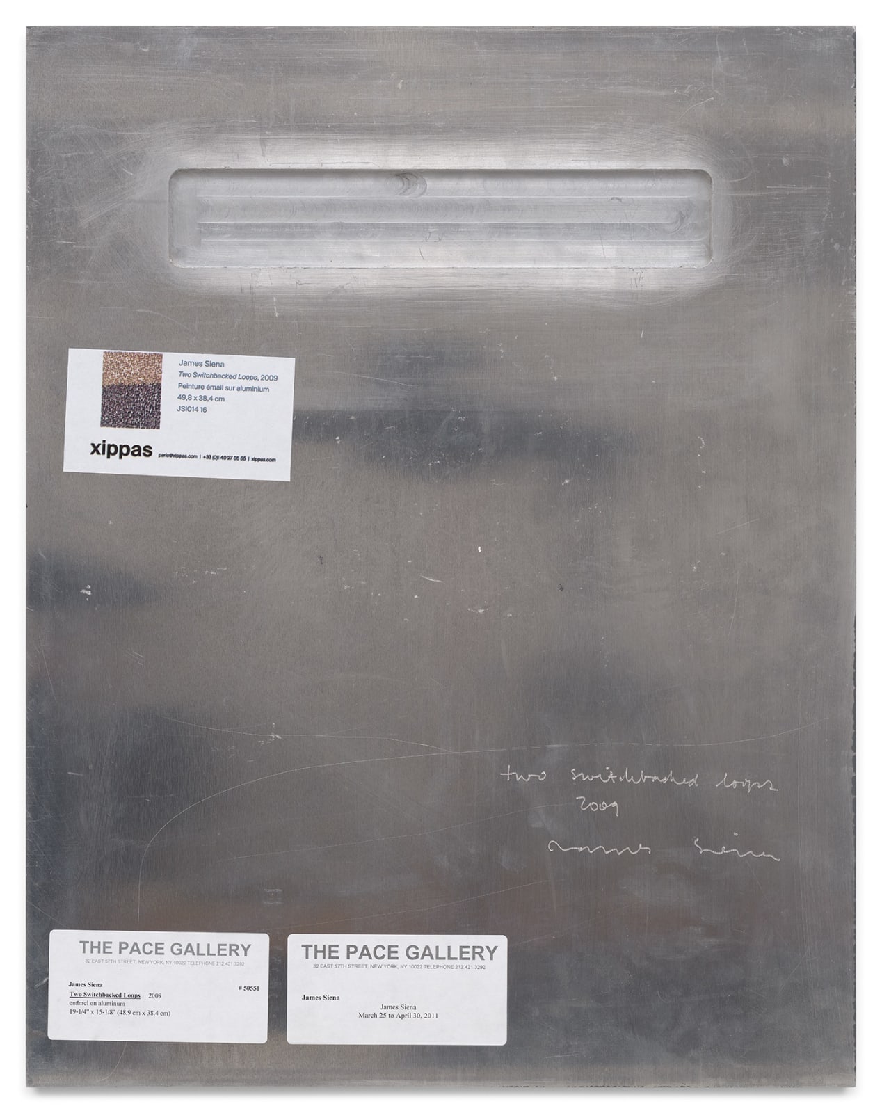 JAMES SIENA, Two Switchbacked Loops, 2009