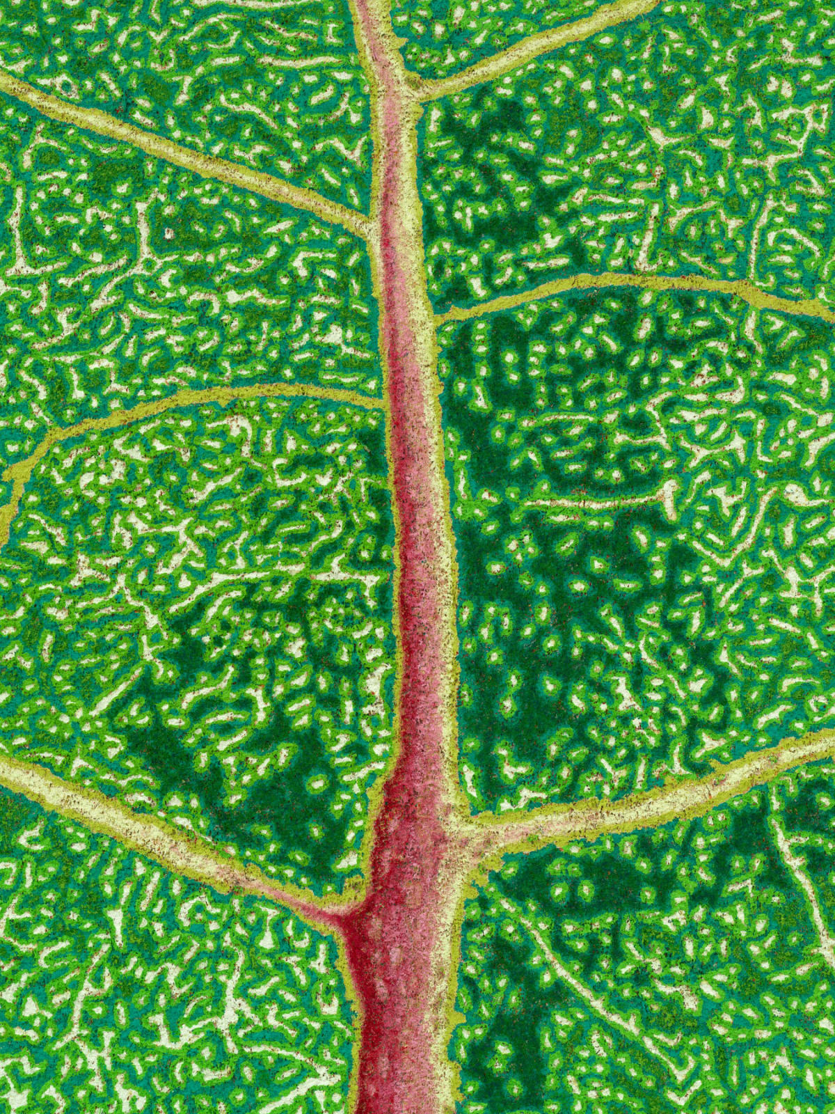 DOUGLAS MELINI, Between These Points, 2025