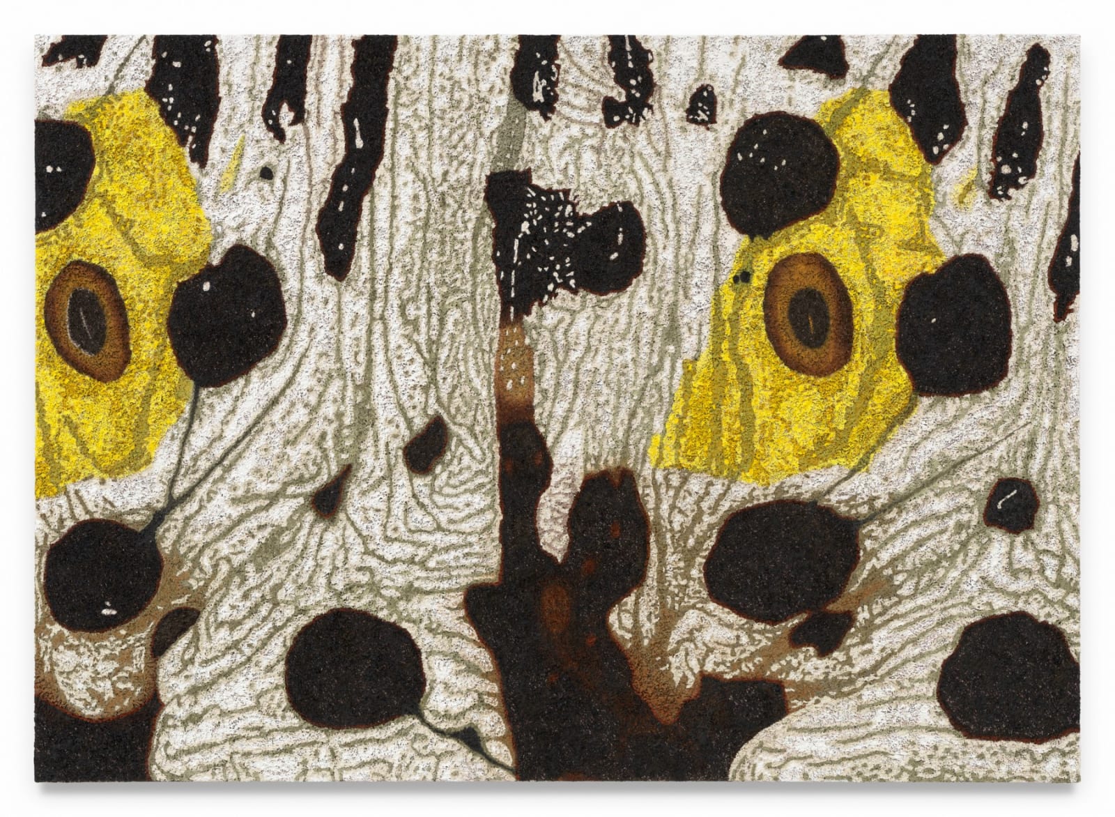 DOUGLAS MELINI, Fantastic Consciousness, 2025