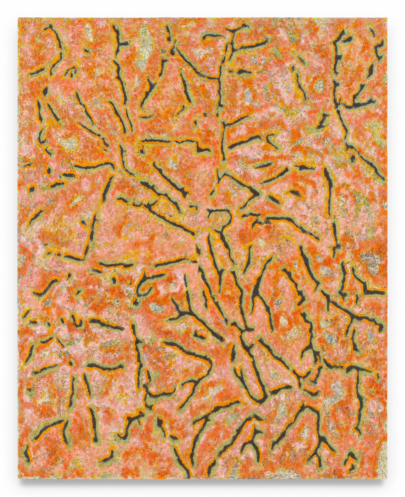 DOUGLAS MELINI, The Clearest Bloom, 2024