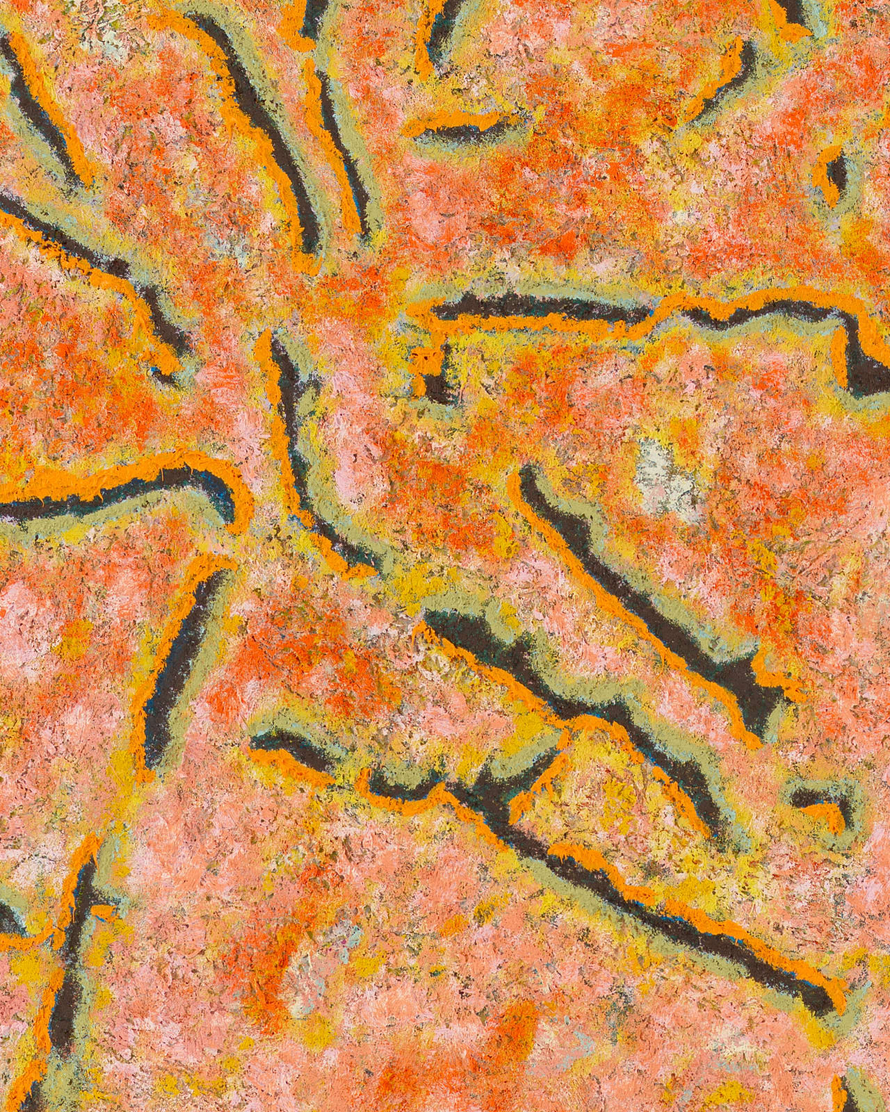 DOUGLAS MELINI, The Clearest Bloom, 2024