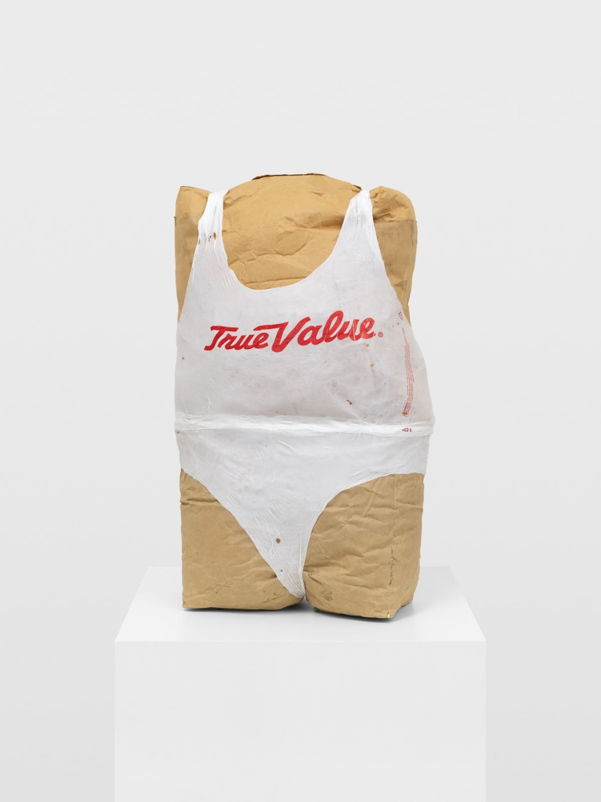 TIM HAWKINSON, Double Bag Torso, 2019