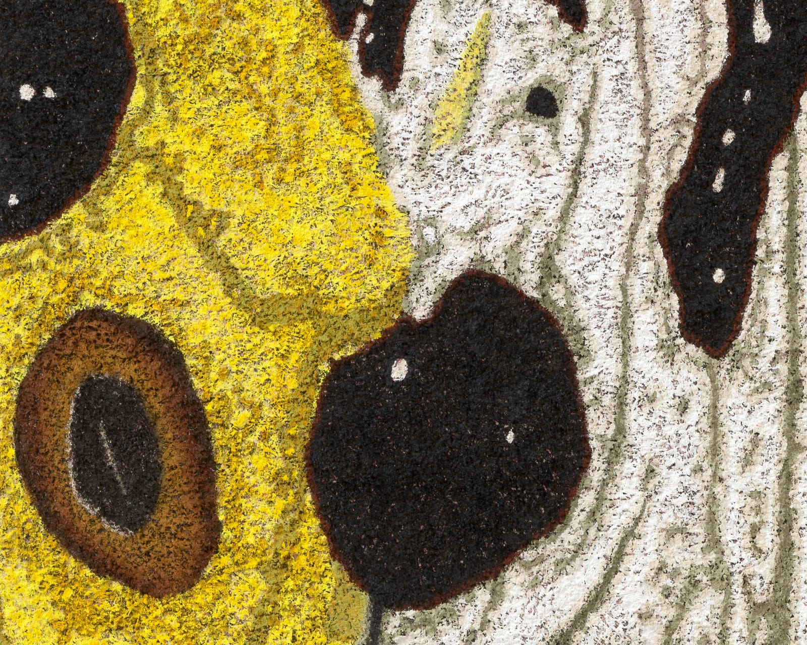 DOUGLAS MELINI, Fantastic Consciousness, 2025